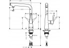 Dřezová baterie Hansgrohe Select 260 páková DN15, chrom