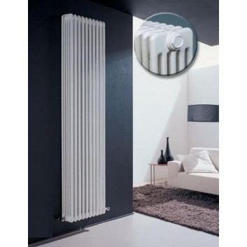 Radiátor Irsap Tesi 2 60x90 cm - bílý- sanitbuy.pl