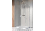 Dveře sprchové Radaway Nes KDS I 120, levé, 1200x2000mm, stříbrná profil