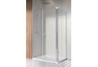 Dveře sprchové Radaway Nes KDS II 100, levé, 1000x2000mm, stříbrná profil