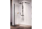 Sprchová zástěna Walk-In Novellini Giada H, 60x195cm, sklo čiré, stříbrný profil