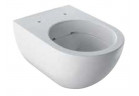 Mísa ustępowa Geberit Acanto závěsná 51x35 cm, skryté mocowania, Rimfree - bílá
