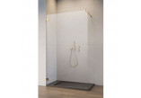 Sprchový kout Radaway Essenza Pro 8 Gold Walk-in 120, sklo čiré, profil zlatá