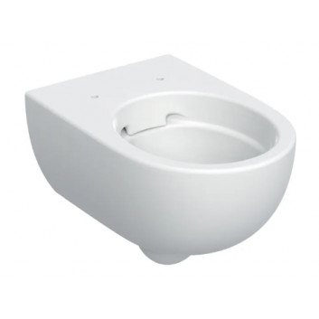 Geberit Selnova Závěsná mísa WC, s hlubokým splachováním, B36cm, H33cm, T53cm, skryté mocowania, Rimfree