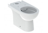 Geberit Selnova Stojící mísa WC do spłuczki nasadzanej, s hlubokým splachováním, 35.5x66cm, částečně skryté mocowania, odtok univerzální, Rimfree