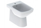 Geberit Selnova Square Bidet stojící przylegający do stěny, 35x53cm, částečně skryté mocowania, z přepadem, s otvorem pro baterii