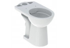 Geberit Selnova Comfort Stojící mísa WC do spłuczki nasadzanej, s hlubokým splachováním, 35.5x65.5cm, podwyższona, odtok vodorovný, Rimfree