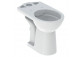 Geberit Selnova Stojící mísa WC do spłuczki nasadzanej, s hlubokým splachováním, B35.6cm, H39cm, T66.5cm, odtok vodorovný, Rimfree