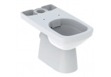 Geberit Selnova Stojící mísa WC do spłuczki nasadzanej, s hlubokým splachováním, B36cm, H39cm, T67cm, odtok vertikální