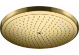 Sprchová hlava 280 1jet EcoSmart, Hansgrohe Croma - Zlatá Optyczny Leštený