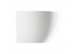 Závěsný bidet, 54x36,5 cm, Omnires Ottawa Comfort - Bílý lesklá