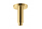 Rameno stropní pro hlavovou sprchu Vema Otago,délka 10cm, brushed gold