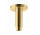 Rameno stropní pro hlavovou sprchu Vema Otago,délka 10cm, brushed gold