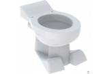 Závěsná mísa WC pro děti z nakładkami do siedzenia ,s hlubokým splachováním, Geberit Bambini, bílá