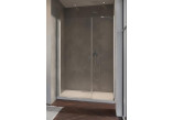 Dveře sprchové Radaway Nes KDS II 120, levé, 1200x2000mm, stříbrná profil