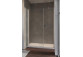 Dveře sprchové Radaway Nes KDS II 120, levé, 1200x2000mm, stříbrná profil