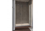 Dveře sprchové Radaway Nes KDS II 120, levé, 1200x2000mm, stříbrná profil