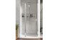 Dveře sprchové Radaway Nes KDS II 120, levé, 1200x2000mm, stříbrná profil