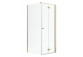 Dveře sprchové Radaway Nes Gold KDJ B 100, skládací, levé, 1000x2000mm - sklo čiré, profil zlatá lesklá
