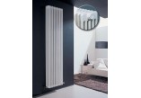 Radiátor Irsap Tesi 2 60x90 cm - bílý- sanitbuy.pl