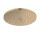Sprchová hlava/ horní sprcha Hansgrohe Raindance S, kulatá 240 1jet PowderRain EcoSmart - bronz kartáčovaný