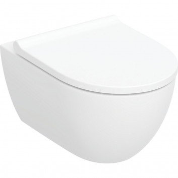 Mísa ustępowa Geberit Acanto závěsná 51x35 cm, skryté mocowania, Rimfree - bílá
