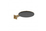Horní sprcha Hansgrohe Raindance Alive S, bronz kartáčovaný