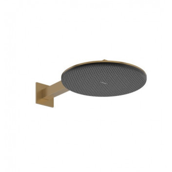 Horní sprcha Hansgrohe Raindance Alive S, bronz kartáčovaný