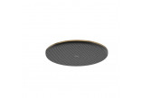 Sprchová hlava Hansgrohe Raindance S 240 1jet PowderRain, kulatá, průměr 24 cm - bronz kartáčovaný