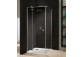 Dveře sprchové 90 cm s pevným prvkem Ronal Pur light - pravé - sanitbuy.pl
