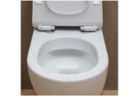 Závěsné wc WC Flaminia Link 56 x 36 x 20 cm, černá na vnější straně/bílá wewnątrz, zdobienie, goclean- sanitbuy.pl