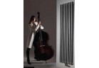 Radiátor Jaga Twin BT 90 x 45 cm - vertikální