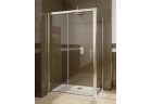 Dveře sprchové posuvné 110 x 190 Radaway Premium Plus DWJ+S